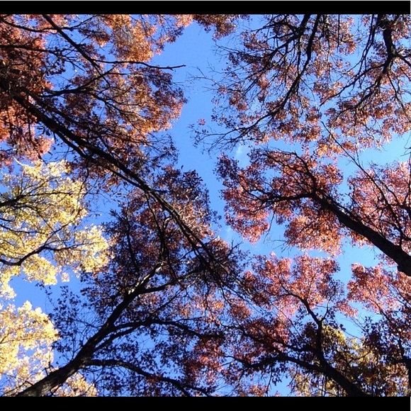 Meet your Posher, Sydnee - Picture 5 of 8